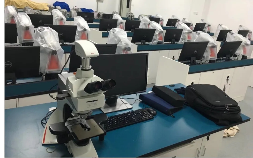 640 (3).webp (1).jpg